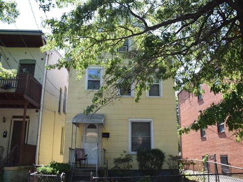 A yellow house with a tree in front.