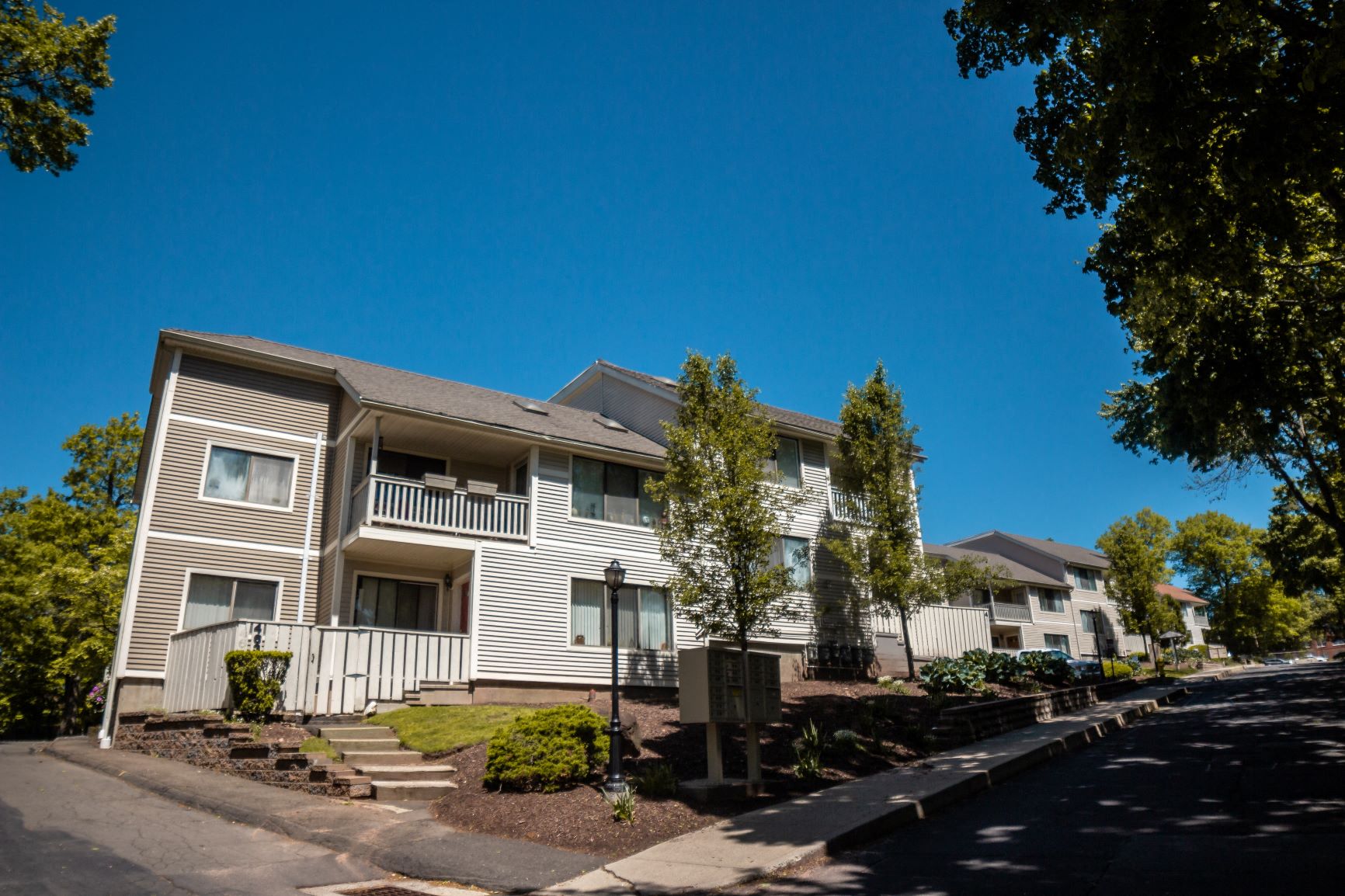 A row of townhouses with trees and shrubs in front.