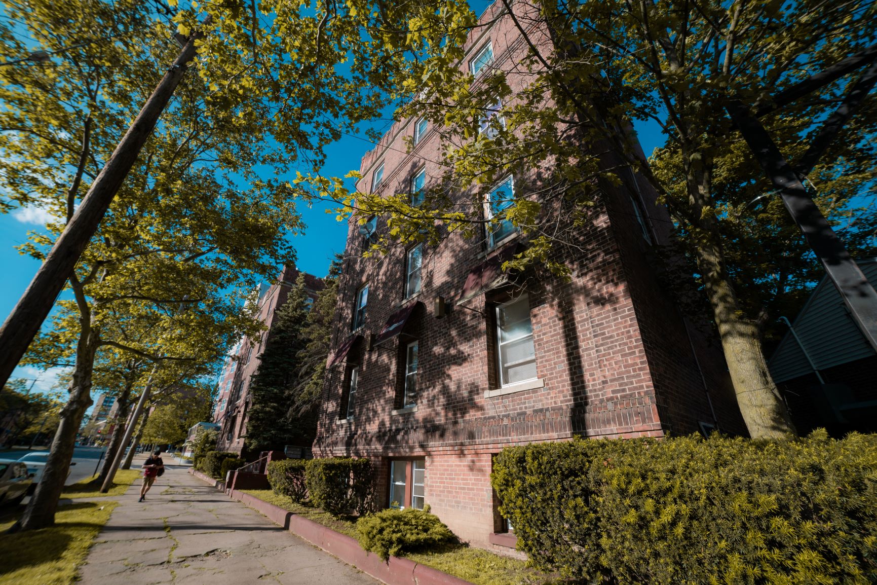 A tree with yellow leaves is in front of a red brick building.
