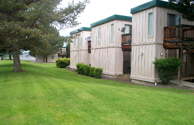 a row of wooden buildings with trees and grass