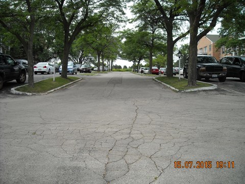 a city street with trees and cars parked on the side