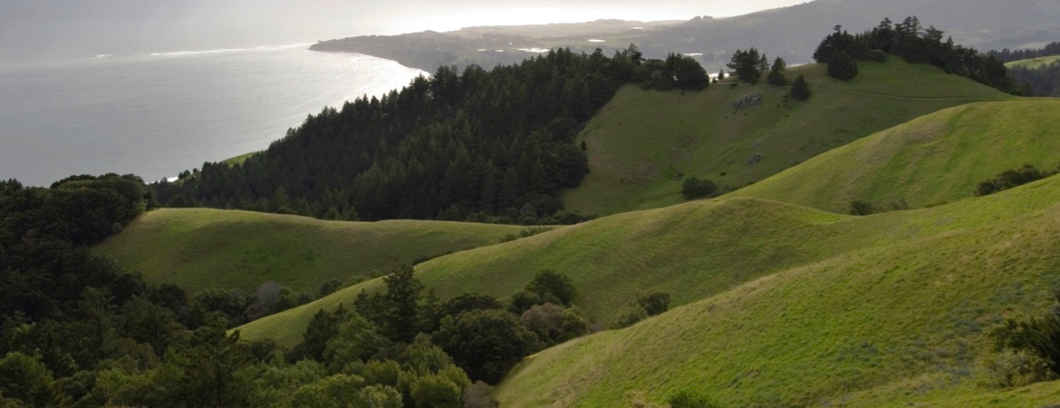 A landscape with rolling hills and a body of water in the distance.