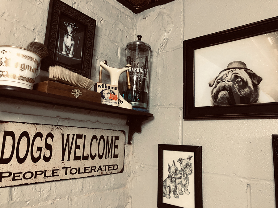 The District Dog Spa