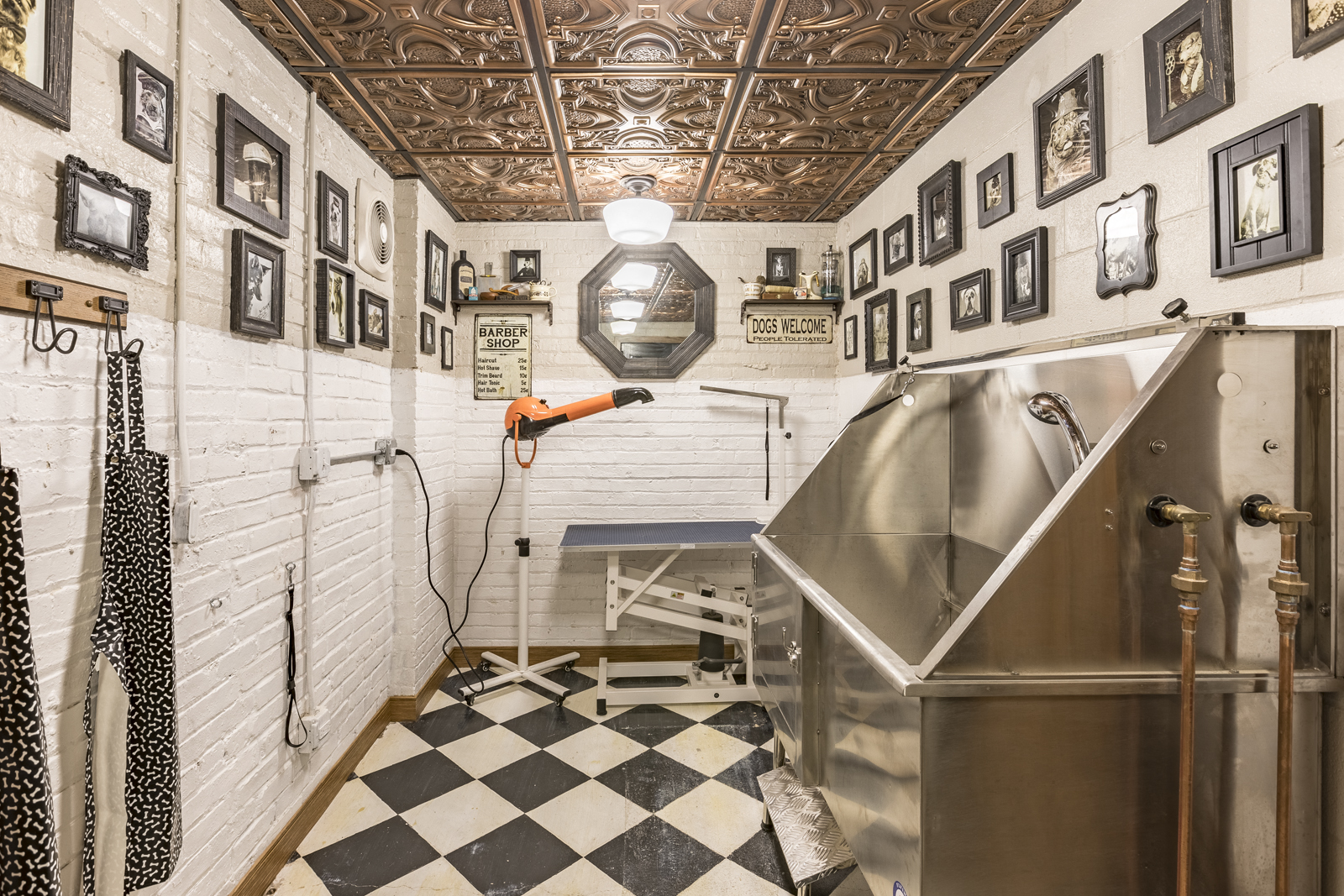 The District Dog Blow Dry Station