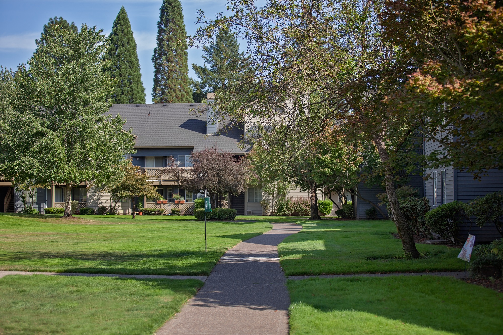 Stonesthrow Apartment Community Walkway