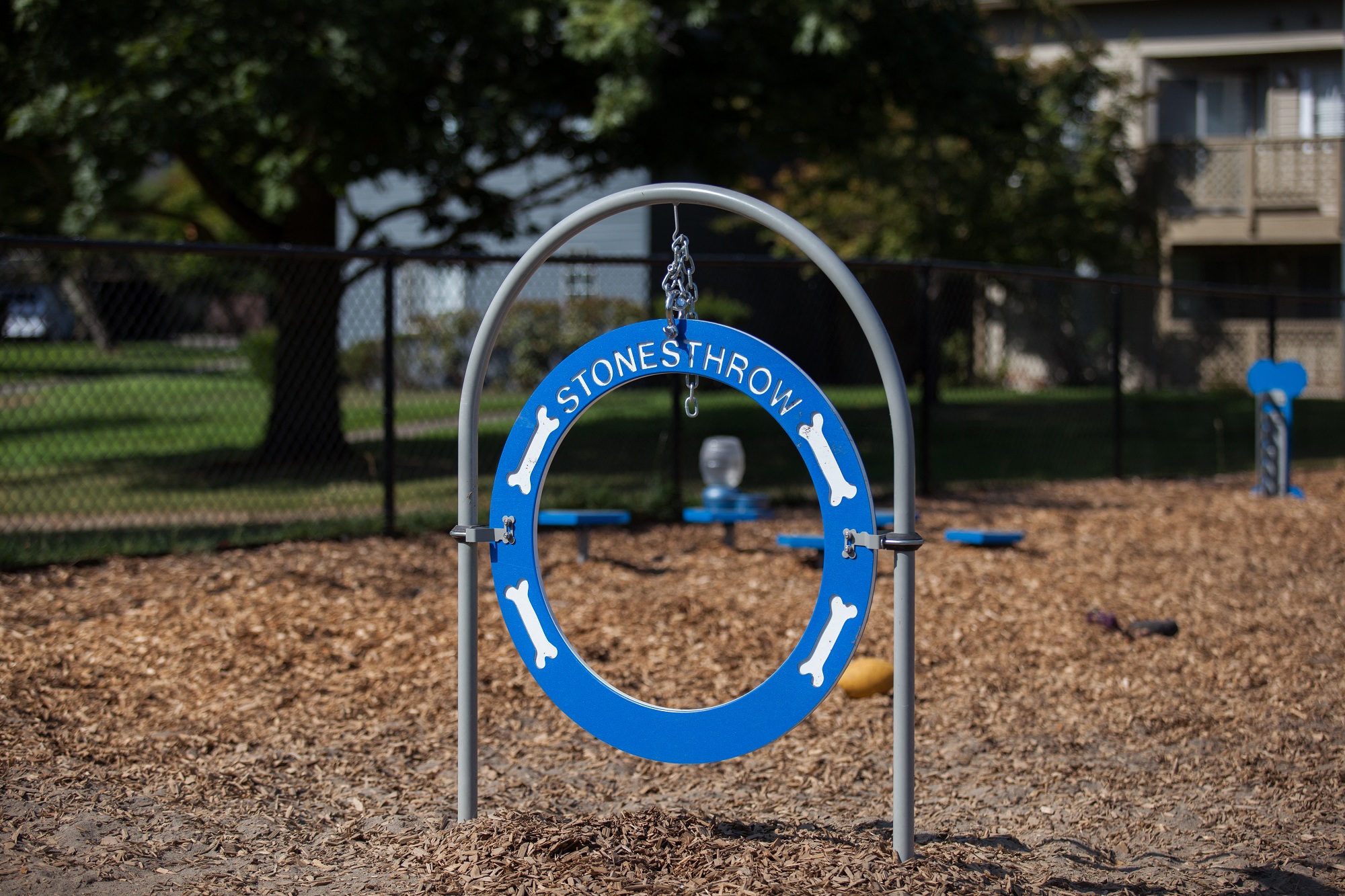 Stonesthrow Apartment Dog Park Toy