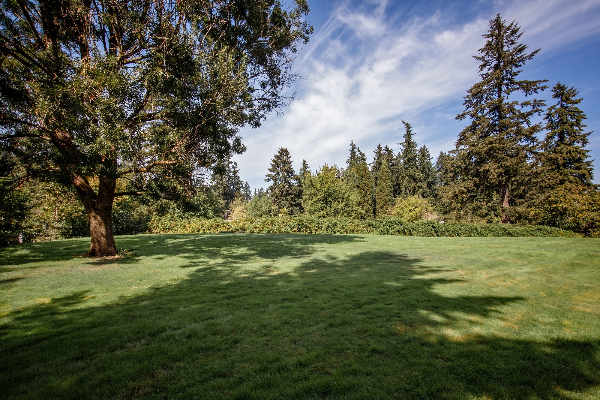Stonesthrow Apartment Landscape