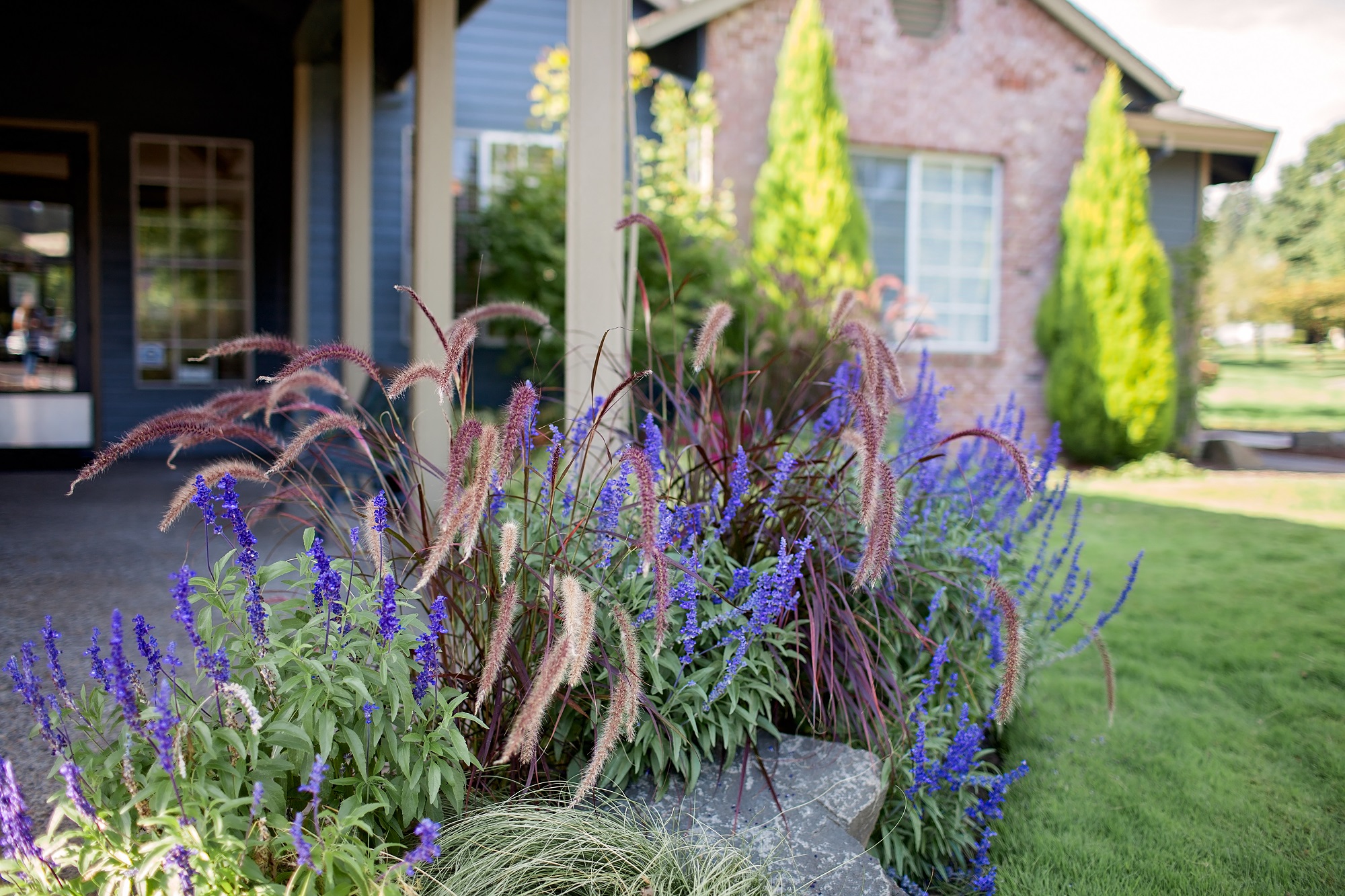 Stonesthrow Apartments Clubhouse Plants