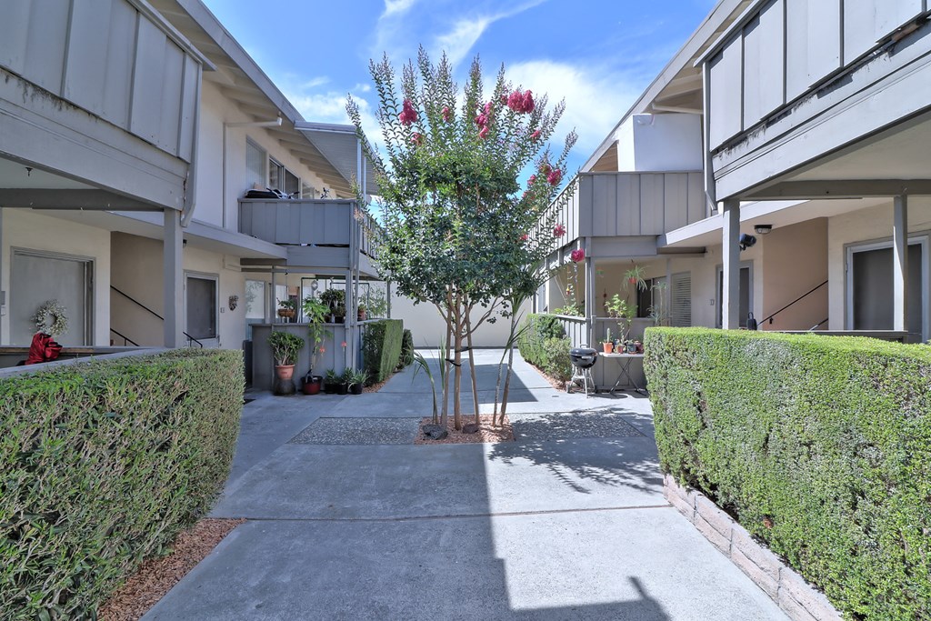 a courtyard between two buildings with a tree in the middle