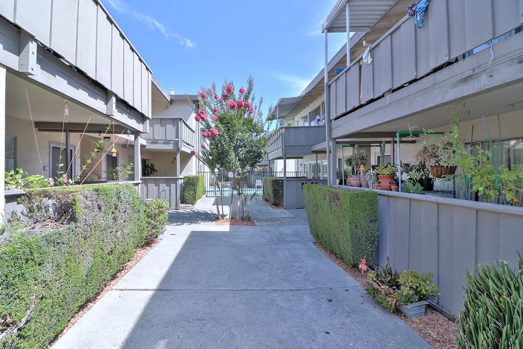 an alley between two buildings with plants and trees