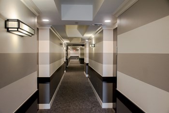 112 Walnut Blvd 1-3 Beds Apartment for Rent - Photo Gallery 4