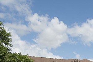 dog friendly apartments in pearland