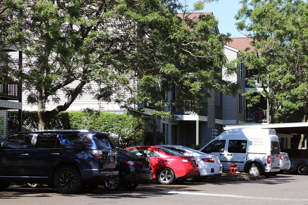 Parking Area at Townfair Apartments, Oregon, 97030