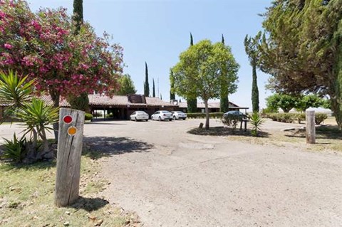 a parking lot with cars and trees in the background