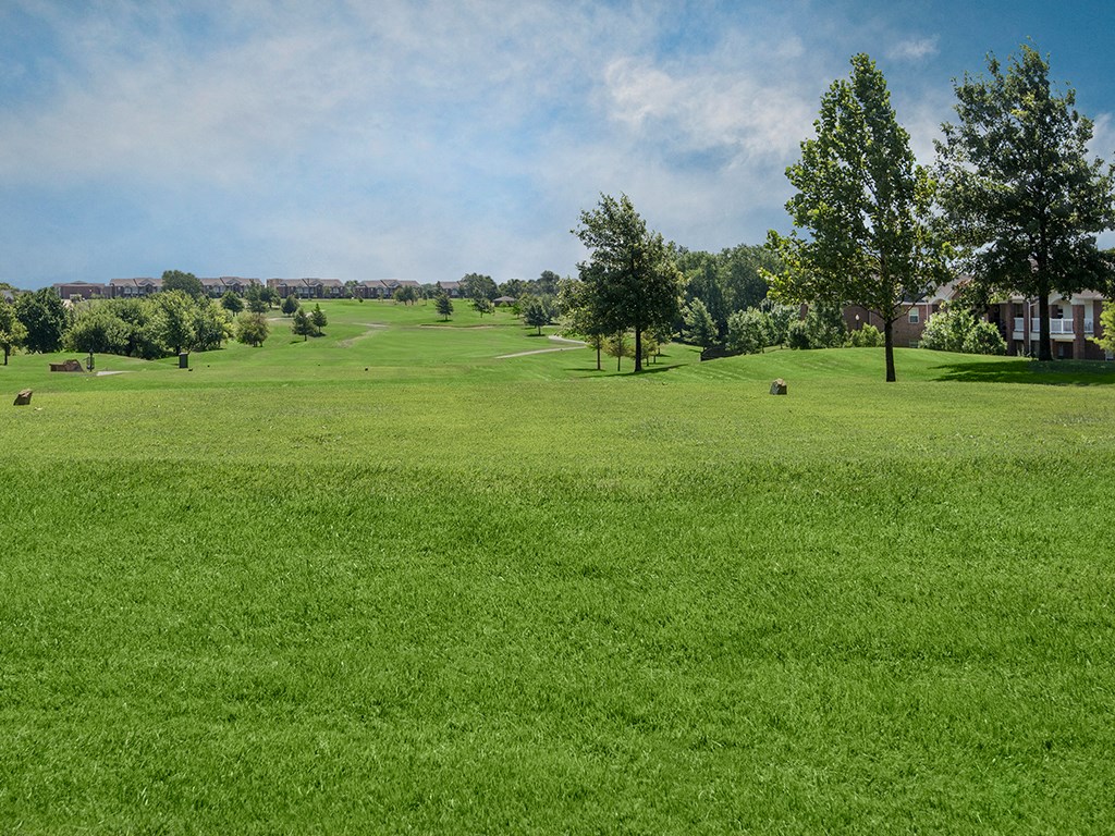 a grassy field with trees and buildings in the background