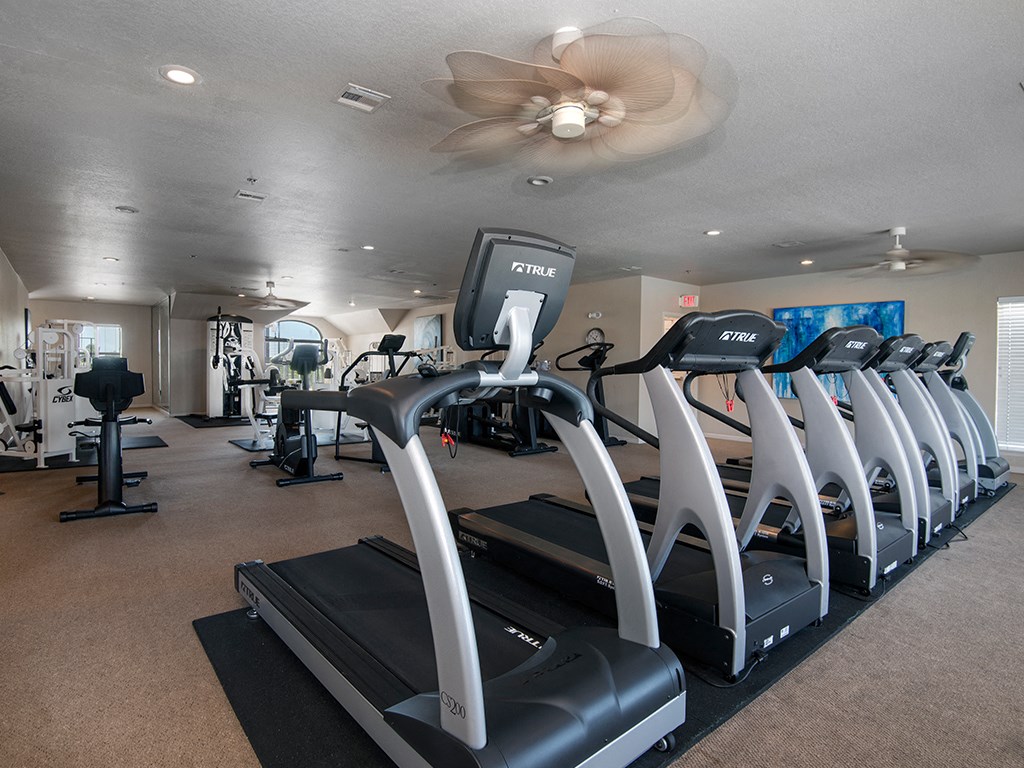 the gym has plenty of cardio equipment at our apartments