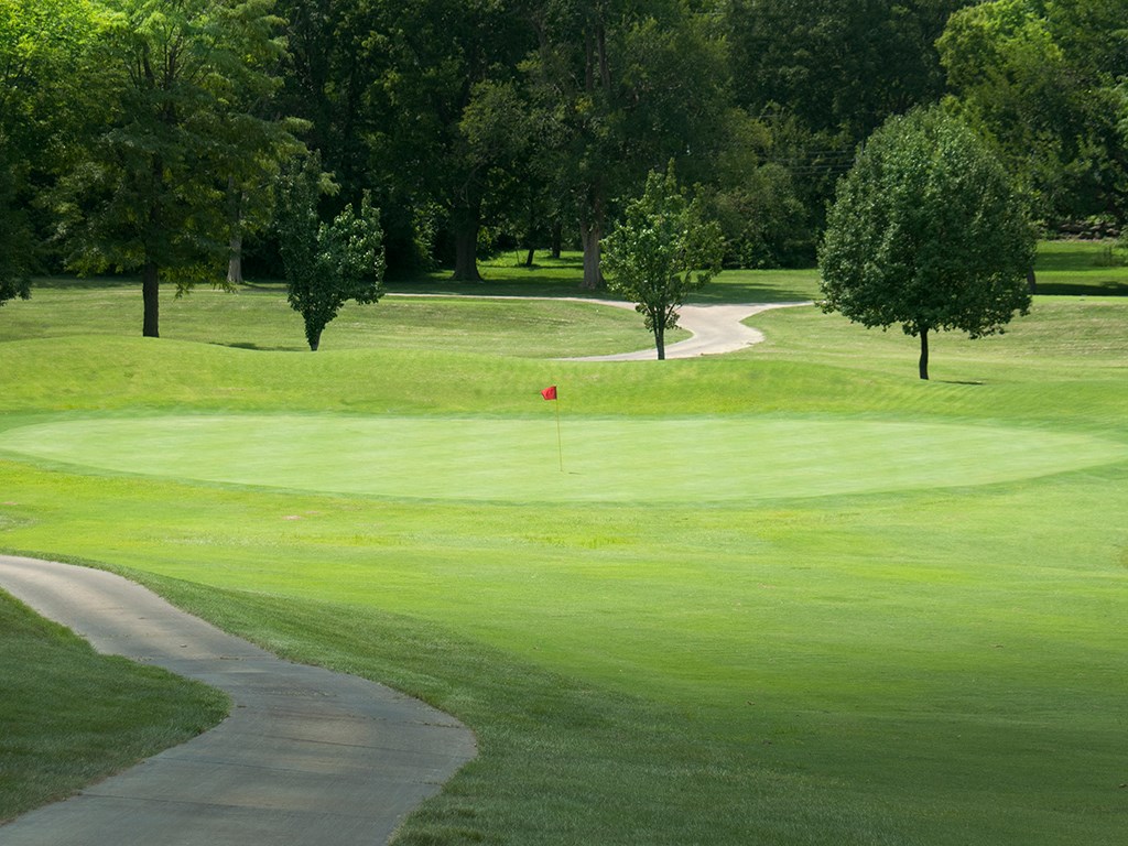 a golf course with a red flag on the green