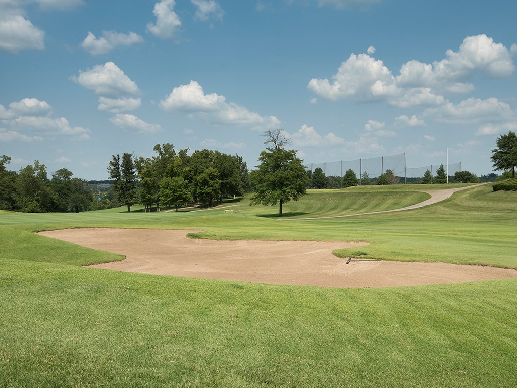 a view of a golf course with a dirt bunker and a green field with trees