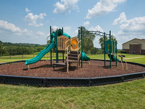a playground with a play set on a mulch