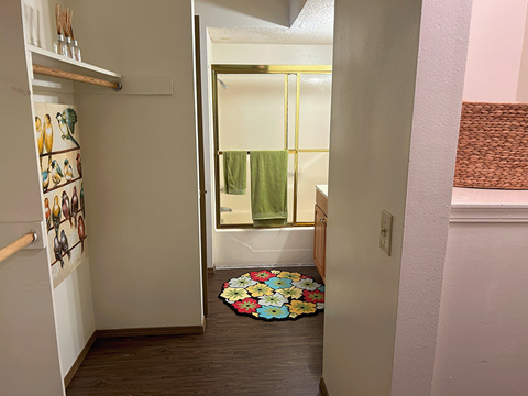 a bathroom with a shower and a rug on the floor