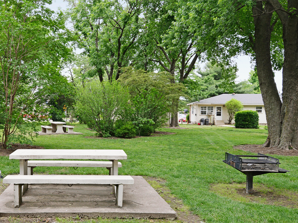 a picnic table and a grill in a park