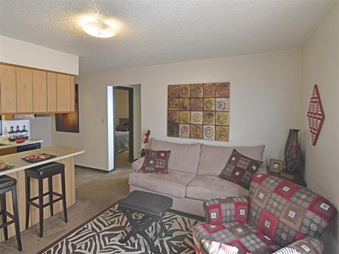 a living room with a couch and a chair and a kitchen