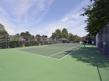 2900 N. Dixieland Road 1-2 Beds Apartment for Rent - Photo Gallery 2