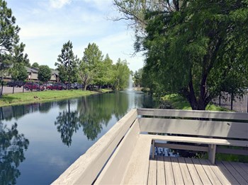 2900 N. Dixieland Road 1-2 Beds Apartment for Rent - Photo Gallery 5