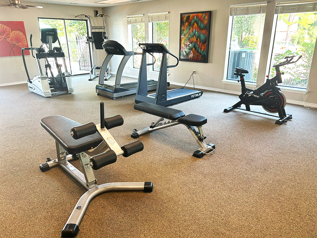 a gym with cardio machines and exercise equipment in a living room