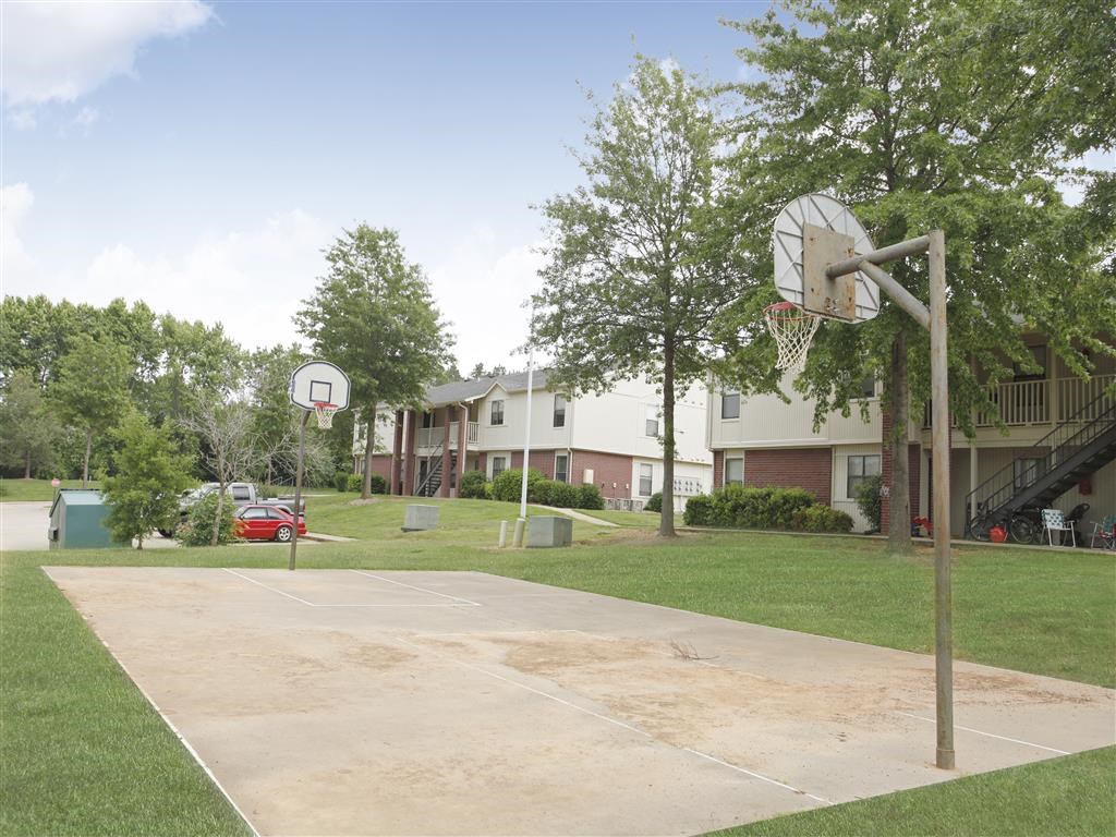 a basketball hoop in the middle of a park