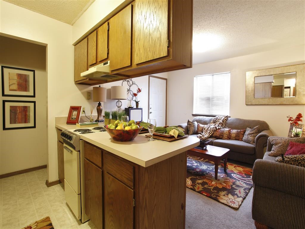 a living room with a kitchen and a couch