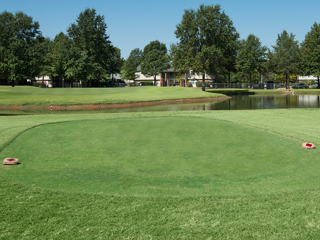 a golf course with a pond and trees