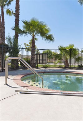 a swimming pool with palm trees and a metal fence