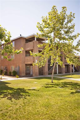 a large brick building with a tree in front of it