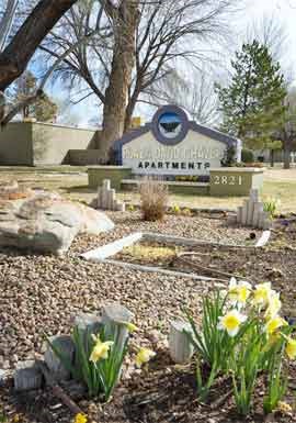 a cemetery with daffodils in front of a park sign