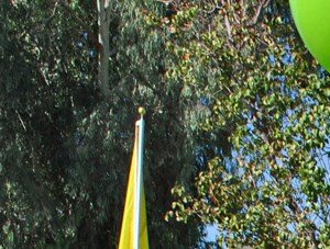 Sombra Apartment Homes, 2020 W. Glendale Ave, Phoenix, AZ - RENTCafé