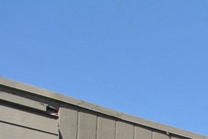 2020 W. Glendale Ave 1-3 Beds Apartment for Rent - Photo Gallery 3