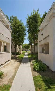 an alley between two white buildings with trees and grass