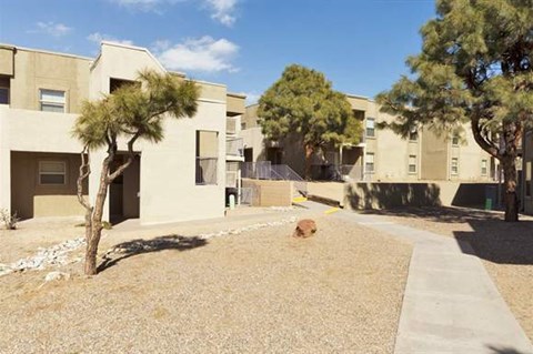 a dog sitting in a yard in front of an apartment building
