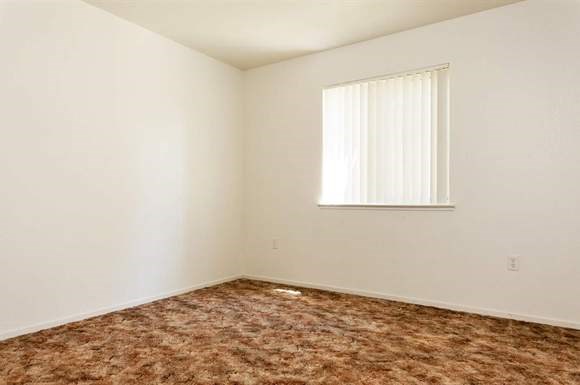 an empty room with a window and brown carpet