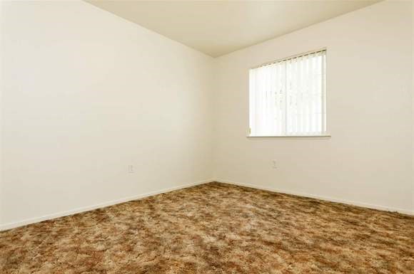an empty room with a window and a brown carpet