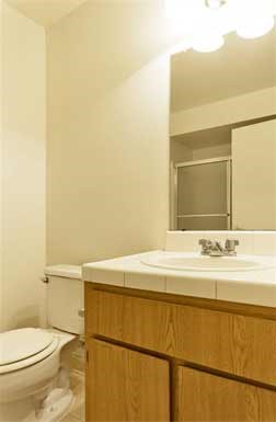 a bathroom with a toilet and a sink and a mirror