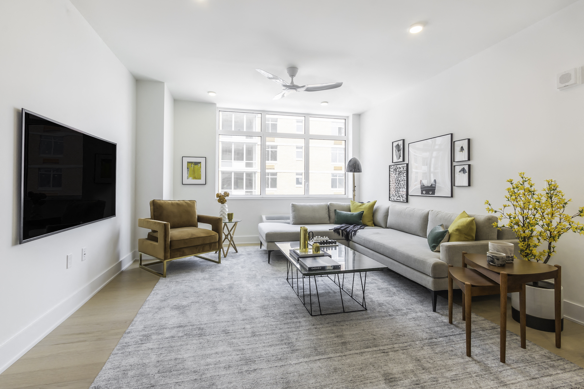 1BR D Living Room (3)