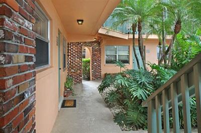 golden palms breezeway with greenery
