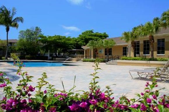 Homestead Colony Apartments In Homestead Fl Homestead Colony Apartments In Homestead Fl