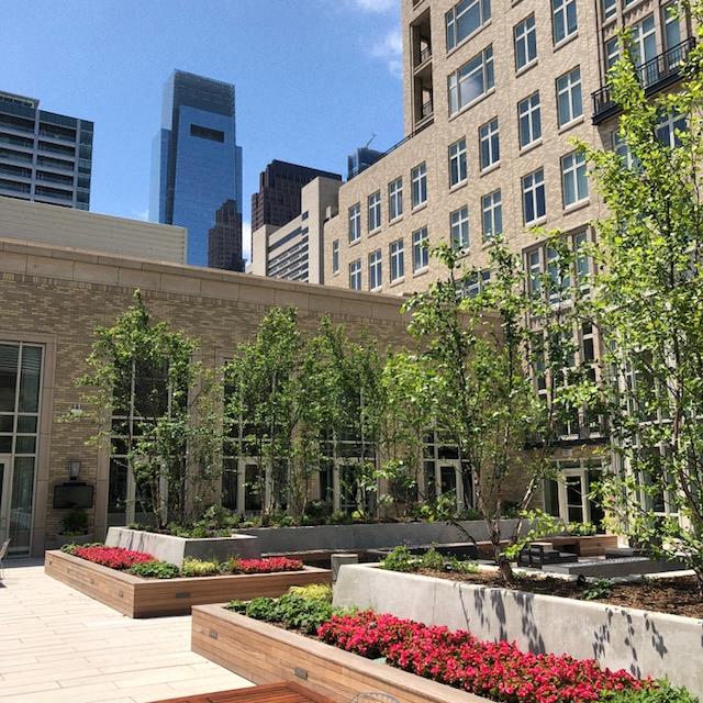 a courtyard with trees and flowers in front of a building