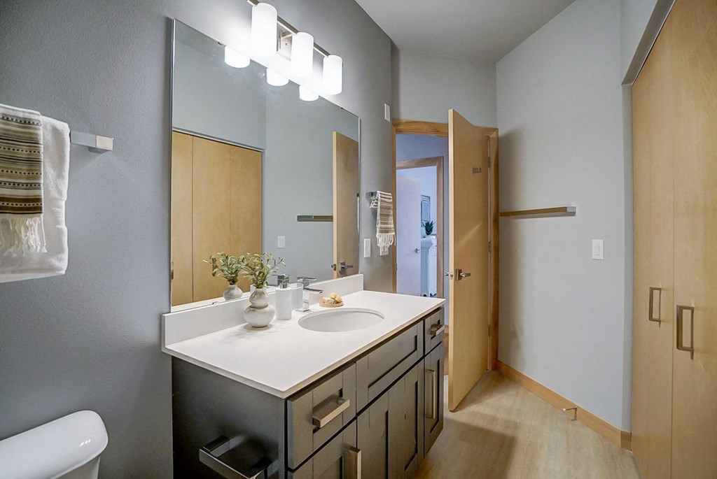 a bathroom with a sink and a mirror