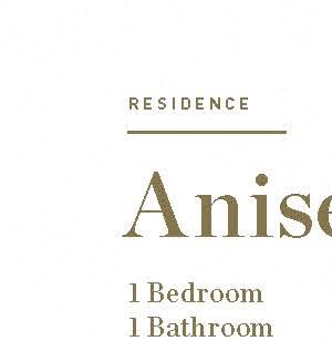 Anise Anise