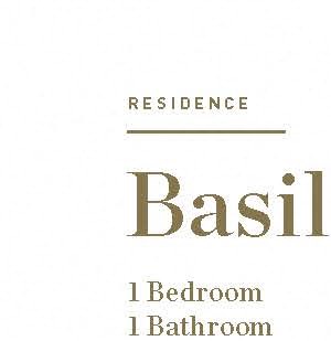 Basil Basil