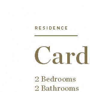 Cardamom Cardamom